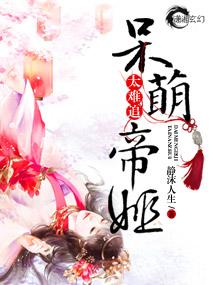 teachfeeling2.5汉化版