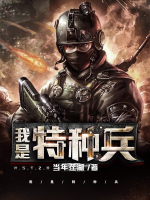 来自远方作品