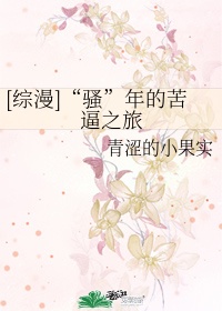 龟甲作品集
