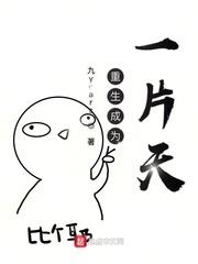 四川肥婆毛多