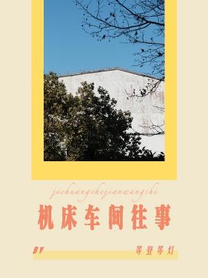 龙门镖局小说