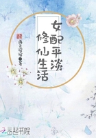 69式视频在线观看免费
