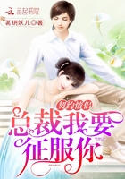 乡村爱情h版