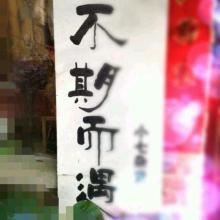 零度战姬樱花
