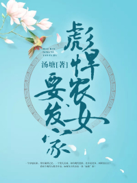 穿越王妃有点野