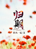 美国大选时间