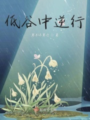 国产免费人做爰午夜视频