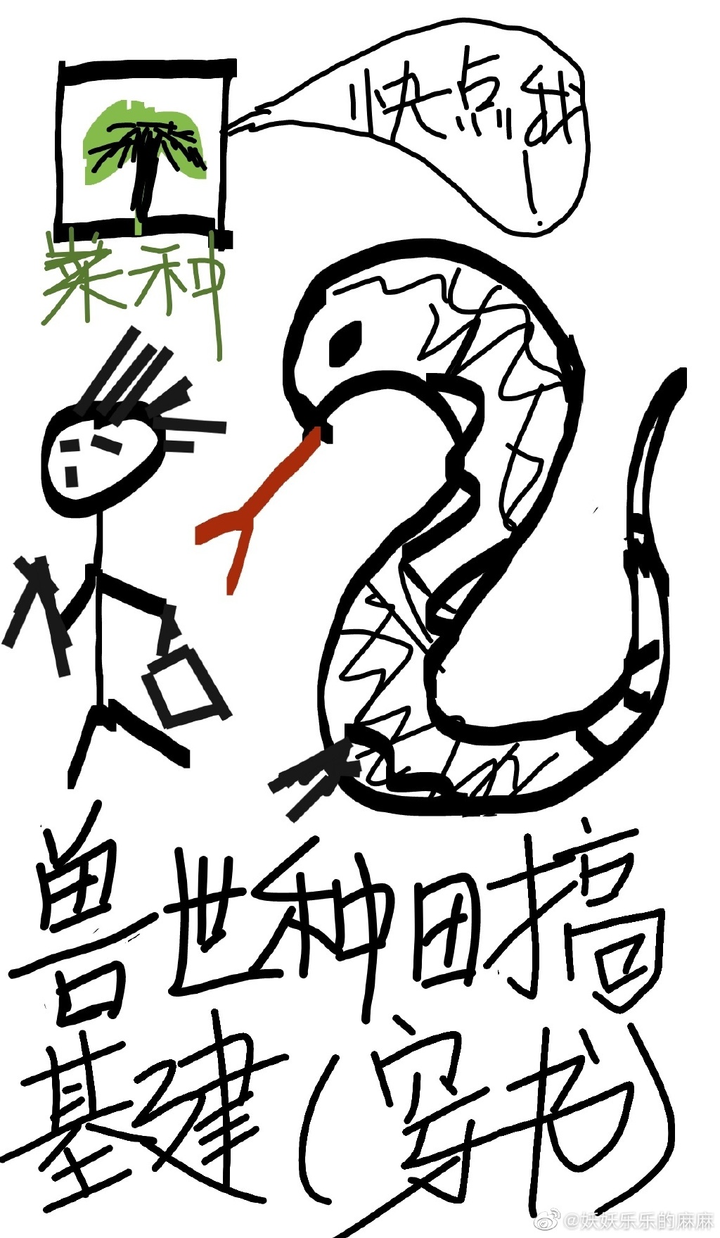 一起来看流星雨剧照