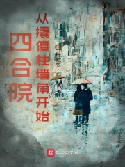 璀璨人生全集