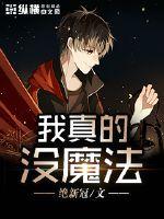 七龙珠h