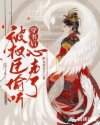 sc1v1新婚h