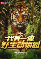 五虎影院