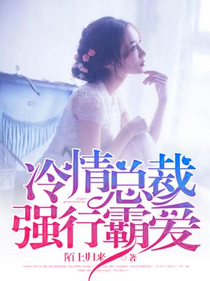 飞言情系列小说