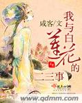 毛片一