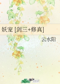 罚罪电视剧免费观看全集完整版