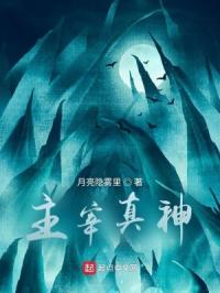 金萍梅电影