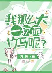 金瓶双艳视频