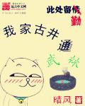 钢牙套价格