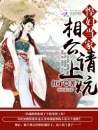 泰迪熊1在线完整版免费