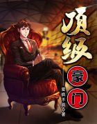 侠盗高飞国语版