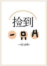 台湾a版红楼梦在线影院