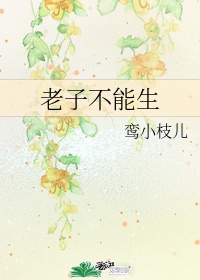 弃城z 108完整版