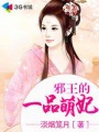 枫无涯txt下载