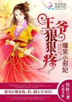 叶辰小说