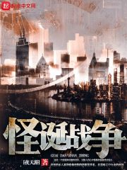 三毛流浪记小说