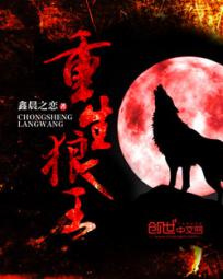 在线免播放器a站
