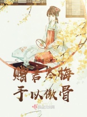 夺艳记宝莲灯全本下载
