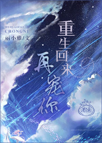 旋翼式水表