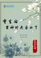 鏖战鲁西南