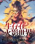 闪客快打8
