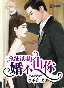 炎景熙陆沐擎小说全集
