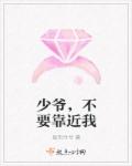 女公务员的菊蕾