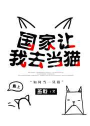 wujie88.com