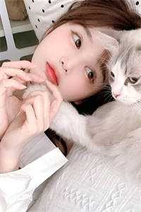 猫咪官网最新maomi