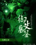 家庭混乱全集小说