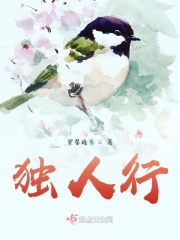 迪拉夫人电视剧在线观看