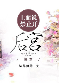 凤凰琴