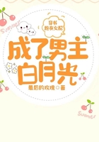 吉星高照猪八戒