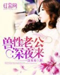 69视频在线免费观看