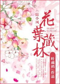 柳州莫青宾馆视频 ftp