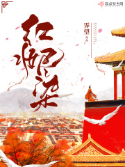 周铮穿越成太子的小说