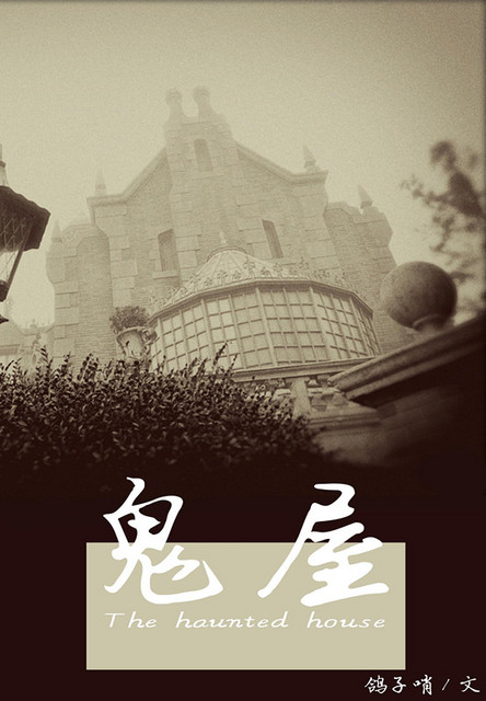 谍影重重4国语dvd