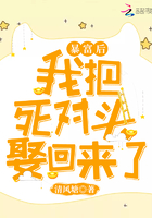 钟丽缇晚娘在线观看