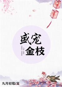 甄巧儿全文阅读教师1