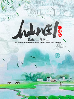 新荷包小说网