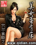 公主骑士征服战争